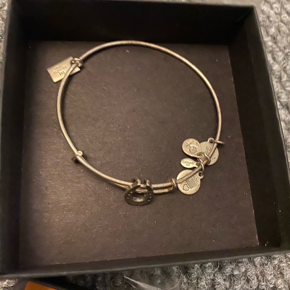 Alex and ani Bracelet’s